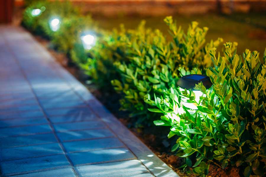 Professional landscape lighting installation done